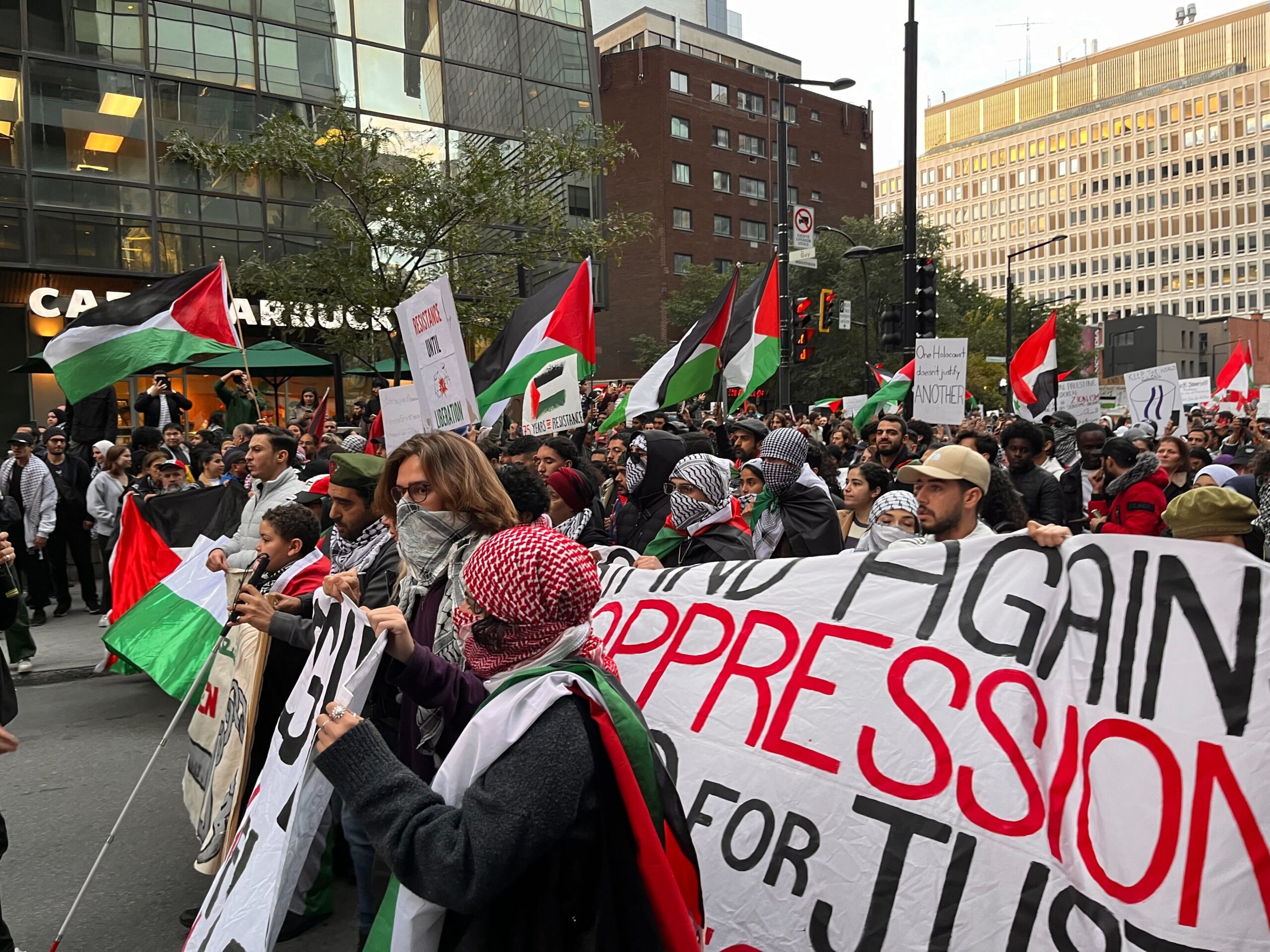 Niagara Falls Protest: A Voice for Palestine Echoes Amidst Natural Splendor