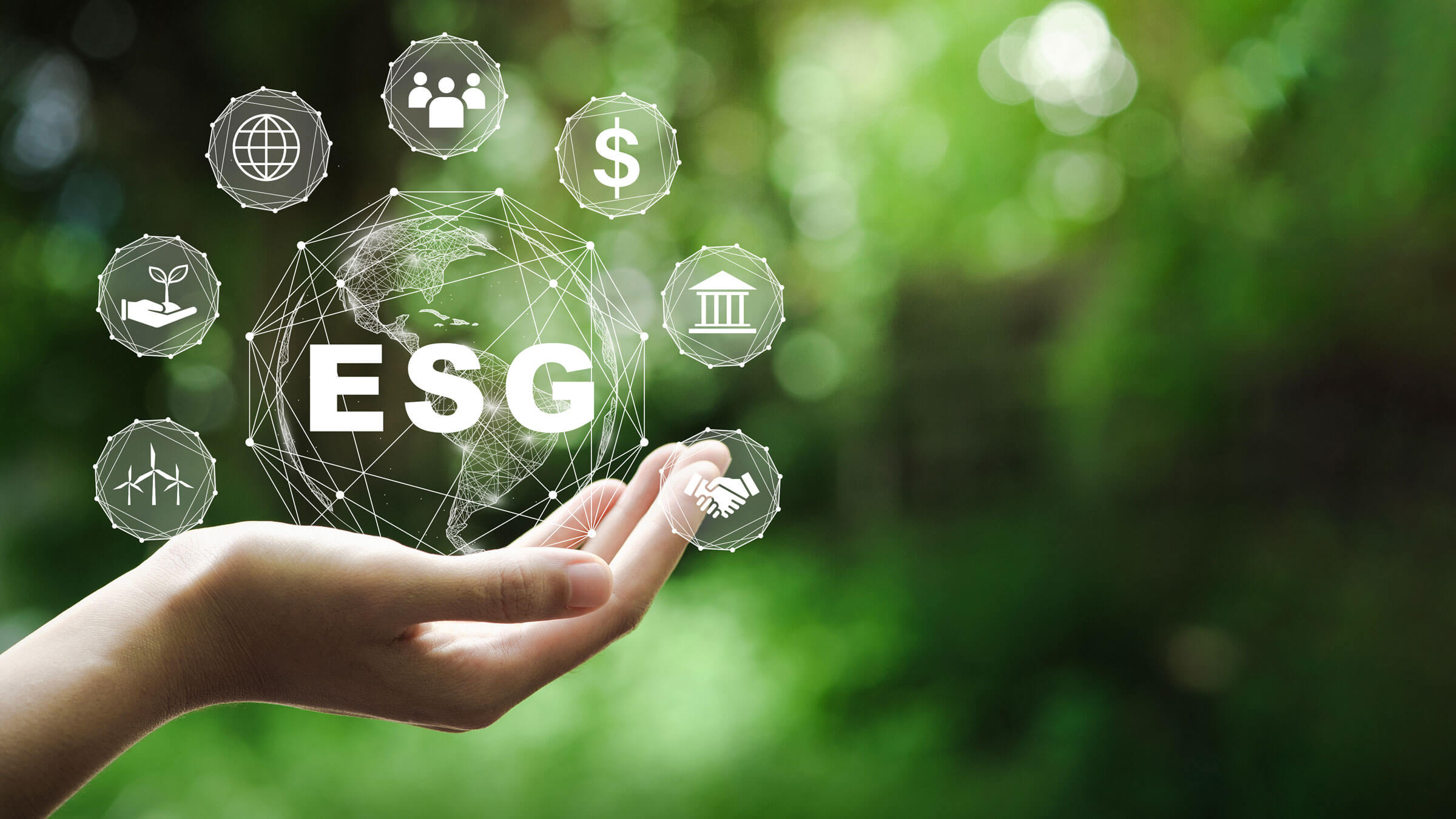 ESG Reporting: Understanding Its Importance for Businesses and Investors